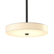 Hubbardton Forge 2015 Black Spun Frost (SH) Multi Disq LED Pendant