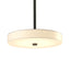 Hubbardton Forge 2015 Natural Iron Spun Frost (SH) Multi Disq LED Pendant