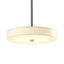 Hubbardton Forge 2015 Vintage Platinum Spun Frost (SH) Multi Disq LED Pendant