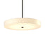 Hubbardton Forge 2015 Dark Smoke Spun Frost (SH) Multi Disq Large LED Pendant