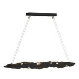 Hubbardton Forge 2018 Black Crystal Standard Trove LED Pendant