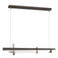 Hubbardton Forge 2019 Bronze Clear Glass (ZM) Standard Tenon LED Pendant