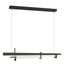 Hubbardton Forge 2019 Oil Rubbed Bronze Clear Glass (ZM) Standard Tenon LED Pendant