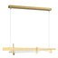 Hubbardton Forge 2019 Modern Brass Clear Glass (ZM) Standard Tenon LED Pendant