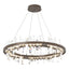 Hubbardton Forge 2019 Bronze Crystal Standard Solitude Circular LED Pendant