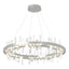 Hubbardton Forge 2019 Vintage Platinum Crystal Standard Solitude Circular LED Pendant