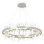 Hubbardton Forge 2019 Sterling Crystal Standard Solitude Circular LED Pendant