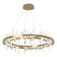 Hubbardton Forge 2019 Modern Brass Crystal Standard Solitude Circular LED Pendant