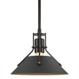 Hubbardton Forge 2015 Oil Rubbed Bronze Natural Iron Multi Henry Mini Pendant