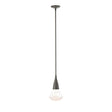 Hubbardton Forge 2020 Dark Smoke Clear Glass (ZM) Multi Fritz Large Pendant
