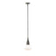 Hubbardton Forge 2020 Dark Smoke Clear Glass (ZM) Multi Fritz Large Pendant
