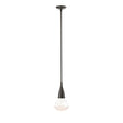 Hubbardton Forge 2020 Oil Rubbed Bronze Clear Glass (ZM) Multi Fritz Large Pendant