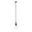 Hubbardton Forge 2020 Oil Rubbed Bronze Clear Glass (ZM) Multi Fritz Large Pendant