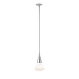 Hubbardton Forge 2020 Vintage Platinum Clear Glass (ZM) Multi Fritz Large Pendant