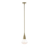 Hubbardton Forge 2020 Soft Gold Clear Glass (ZM) Multi Fritz Large Pendant