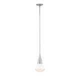 Hubbardton Forge 2020 Sterling Clear Glass (ZM) Multi Fritz Large Pendant