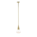 Hubbardton Forge 2020 Modern Brass Clear Glass (ZM) Multi Fritz Large Pendant