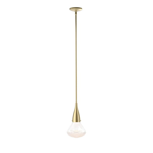 Hubbardton Forge 2020 Modern Brass Clear Glass (ZM) Multi Fritz Large Pendant
