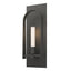 Hubbardton Forge 2023 Natural Iron Natural Iron Frosted Glass (FD) Triomphe 1-Light Sconce