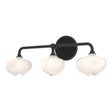 Hubbardton Forge 2022 Black Black Frosted Glass (FD) Ume 3-Light Curved Arm Bath Sconce