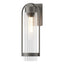 Hubbardton Forge 2023 Coastal Natural Iron Clear Glass (ZM) Alcove Medium Outdoor Sconce