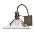 Hubbardton Forge 2020 Coastal Natural Iron Clear Glass (ZM) Henry Large Glass Shade Outdoor Sconce