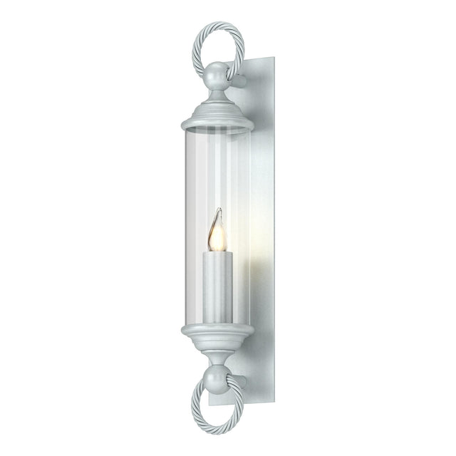 Hubbardton Forge 2015 Coastal Burnished Steel Clear Glass (ZM) Cavo Large Outdoor Wall Sconce