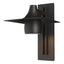 Hubbardton Forge 2012 Coastal Oil Rubbed Bronze Hood Large Dark Sky Outdoor Sconce