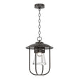 Hubbardton Forge 2019 Coastal Oil Rubbed Bronze Clear Glass (ZM) Erlenmeyer Outdoor Pendant