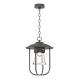 Hubbardton Forge 2019 Coastal Natural Iron Clear Glass (ZM) Erlenmeyer Outdoor Pendant