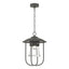 Hubbardton Forge 2019 Coastal Natural Iron Clear Glass (ZM) Erlenmeyer Outdoor Pendant