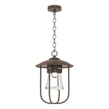 Hubbardton Forge 2019 Coastal Bronze Clear Glass (ZM) Erlenmeyer Outdoor Pendant