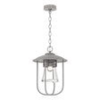 Hubbardton Forge 2019 Coastal Burnished Steel Clear Glass (ZM) Erlenmeyer Outdoor Pendant