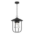 Hubbardton Forge 2019 Coastal Black Clear Glass (ZM) Erlenmeyer Outdoor Pendant