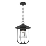 Hubbardton Forge 2019 Coastal Black Clear Glass (ZM) Erlenmeyer Outdoor Pendant