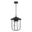 Hubbardton Forge 2019 Coastal Black Clear Glass (ZM) Erlenmeyer Outdoor Pendant