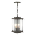 Hubbardton Forge 2021 Coastal Dark Smoke Translucent Vintage Platinum Clear Glass (ZM) Kingston Outdoor Large Lantern