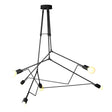 Hubbardton Forge 2016 Coastal Black Standard Divergence Outdoor Pendant