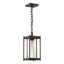 Hubbardton Forge 2023 Coastal Oil Rubbed Bronze Clear Glass (ZM) Cela Medium Outdoor Lantern