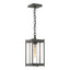 Hubbardton Forge 2023 Coastal Natural Iron Clear Glass (ZM) Cela Medium Outdoor Lantern