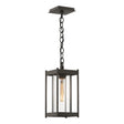 Hubbardton Forge 2023 Coastal Dark Smoke Clear Glass (ZM) Cela Medium Outdoor Lantern