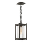 Hubbardton Forge 2023 Coastal Dark Smoke Clear Glass (ZM) Cela Medium Outdoor Lantern