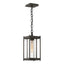 Hubbardton Forge 2023 Coastal Dark Smoke Clear Glass (ZM) Cela Medium Outdoor Lantern