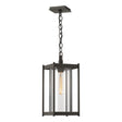 Hubbardton Forge 2023 Coastal Dark Smoke Clear Glass (ZM) Cela Large Outdoor Lantern