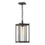 Hubbardton Forge 2023 Coastal Dark Smoke Clear Glass (ZM) Cela Large Outdoor Lantern