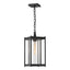 Hubbardton Forge 2023 Coastal Black Clear Glass (ZM) Cela Large Outdoor Lantern