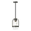 Hubbardton Forge 2023 Coastal Natural Iron Clear Glass (ZM) Multi Alcove Outdoor Pendant