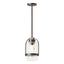 Hubbardton Forge 2023 Coastal Bronze Clear Glass (ZM) Multi Alcove Outdoor Pendant