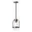 Hubbardton Forge 2023 Coastal Dark Smoke Clear Glass (ZM) Multi Alcove Outdoor Pendant