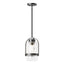Hubbardton Forge 2023 Coastal Black Clear Glass (ZM) Multi Alcove Outdoor Pendant